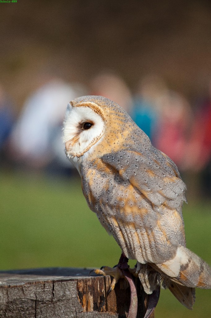 image021